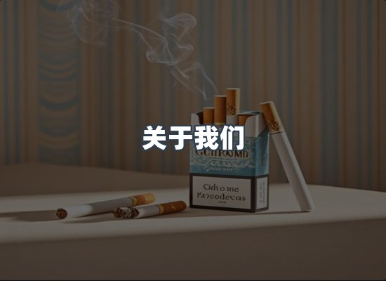 专业团队